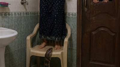 الافعى بقلم جيجى 