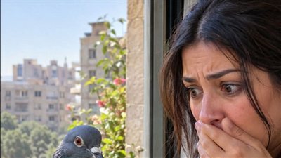 حكايات زهرة 