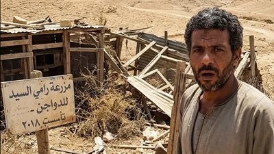 حين عاد الحلم منى السيد 
